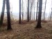16 Bílokarpatské lesy milujeme.