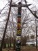 05 Na trampském fleku nechybí nikdy totem.